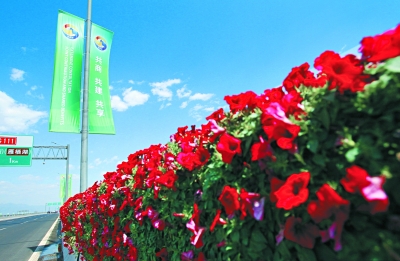北京营造常态景观38万平方米 花海装点城市