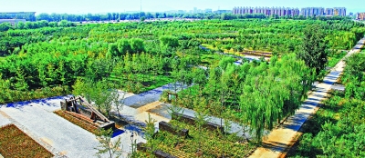 北京平原地区5年新造林117万亩 森林公园进城了