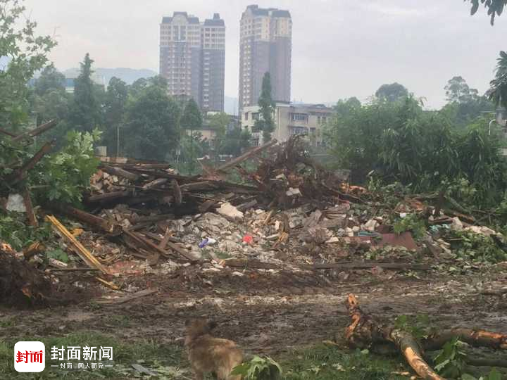 成都半夜突击拆房 几十条流浪狗被砸死 - 梅思特 - 你拥有很多,而我,只有你。。。 成都半夜突击拆房 几十条流浪狗被砸死 - 梅思特 - 你拥有很多,而我,只有你。。。