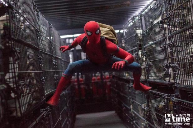 《新蜘蛛侠》先期烂番茄好评97% 居漫威电影宇宙榜首