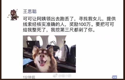 王思聪被曝悬赏100万寻找爱犬 工作人员辟谣：假的
