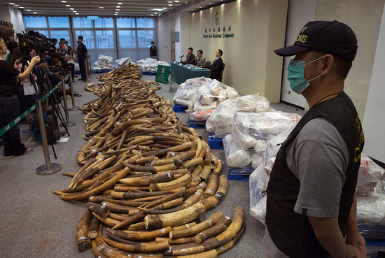 英报：香港查获30年来最大象牙走私案 价值超6000万元