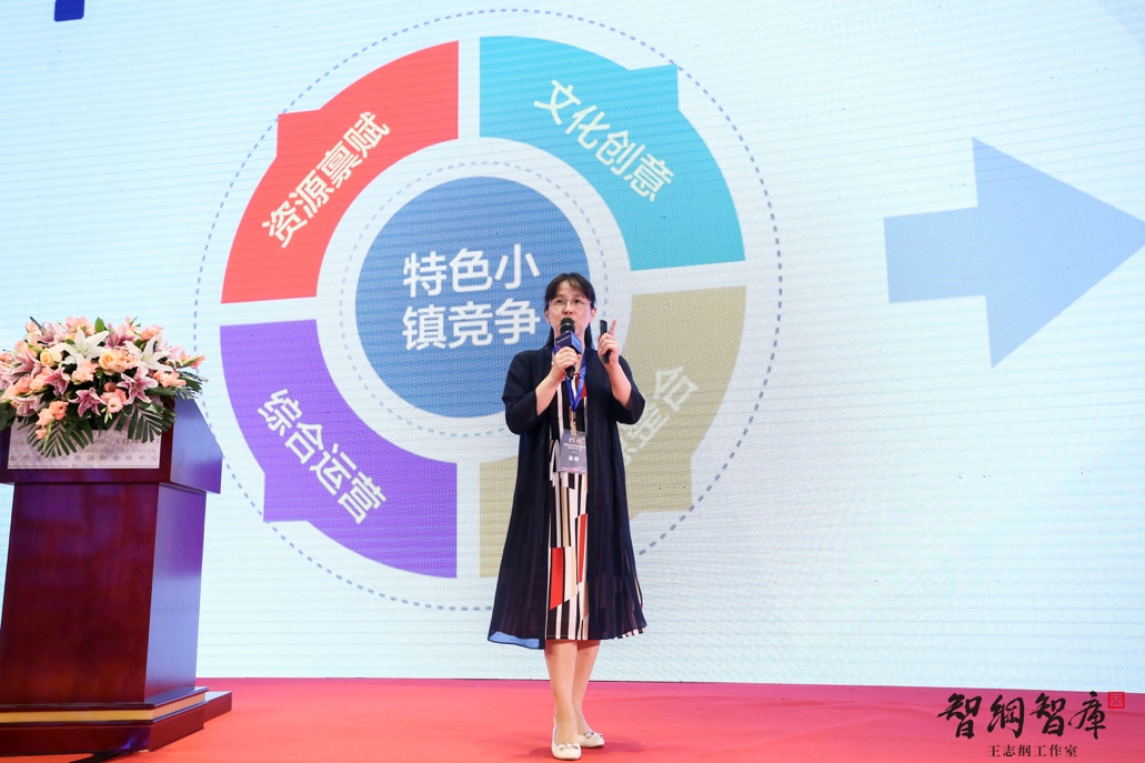 特色小镇开发及资源整合大会在京成功举办