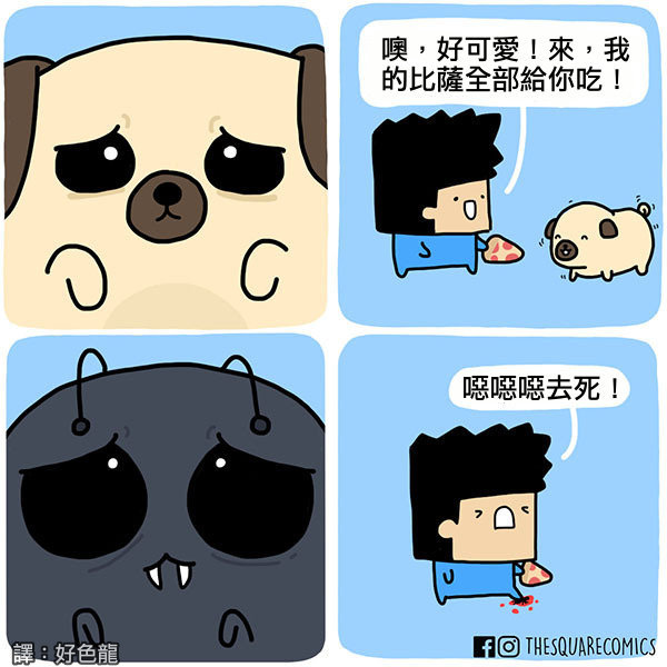 的男孩子学会了,以后就这么对付逼婚的一只猫的洗澡前后这是一张图,不