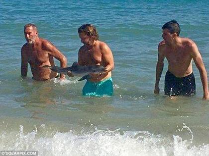 海豚宝宝游到海边 被人类抚摸拍照活活玩死