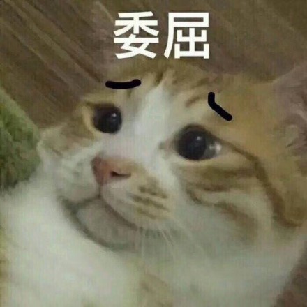 fun来了:人家都恋爱结婚离婚复婚了 你还是单身 fun来了:人家都恋爱结婚离婚复婚了 你还是单身图片