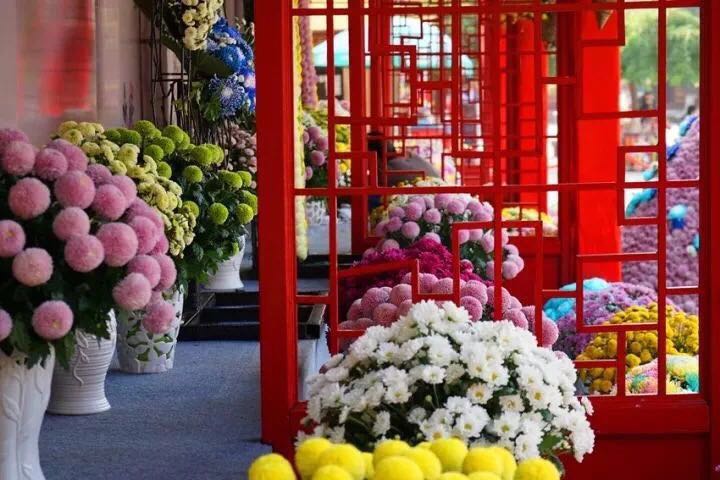 第35届开封菊花文化节将于10月18日开幕