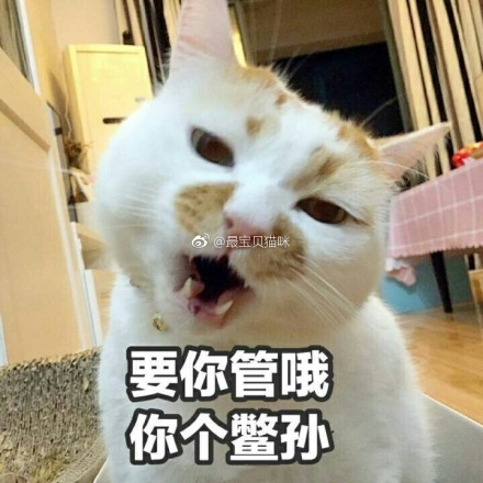fun来了:每天吃这么多你真的想瘦吗?很享受啊 fun来了:每天吃这么多你真的想瘦吗?很享受啊图片