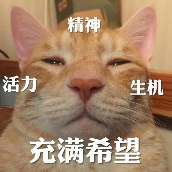 fun来了:熬夜令我变丑?早睡我也没变好看啊 fun来了:熬夜令我变丑?早睡我也没变好看啊图片
