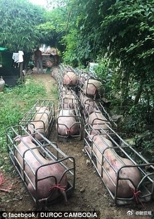 fun来了:忍一时越想越气 退一步越想越亏 fun来了:忍一时越想越气 退一步越想越亏图片