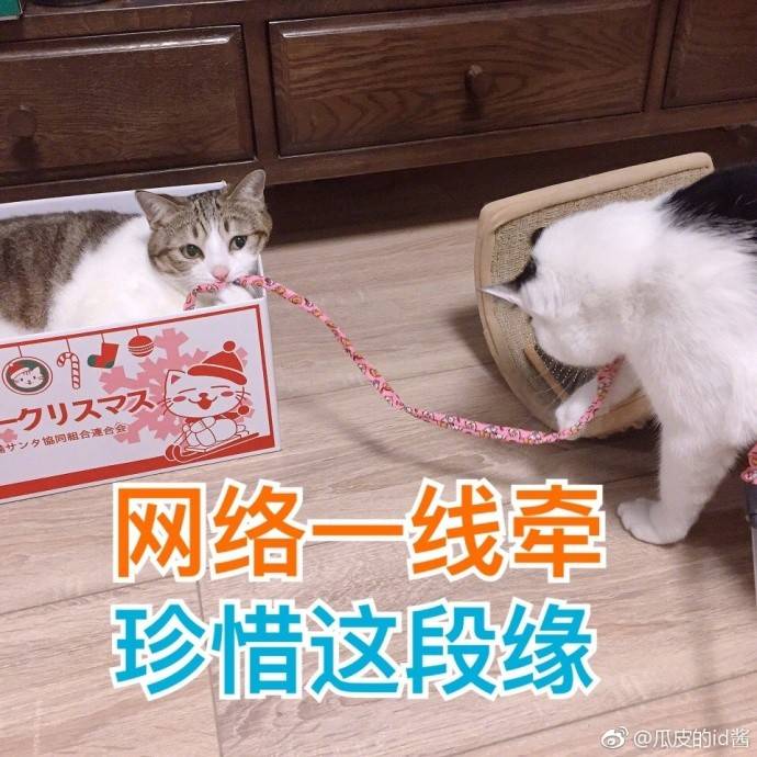 fun来了:熬夜那么爽怎么能算熬 上班才该叫熬班 fun来了:熬夜那么爽怎么能算熬 上班才该叫熬班图片