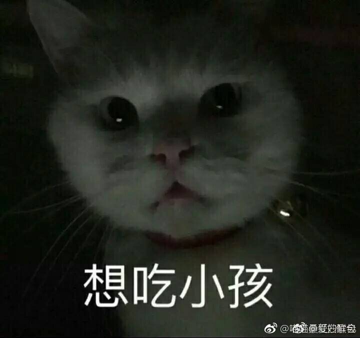 fun来了:熬夜那么爽怎么能算熬 上班才该叫熬班 fun来了:熬夜那么爽怎么能算熬 上班才该叫熬班图片