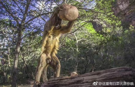 fun来了:当代青年就像蒲公英 风一吹头发就没了 fun来了:当代青年就像蒲公英 风一吹头发就没了图片