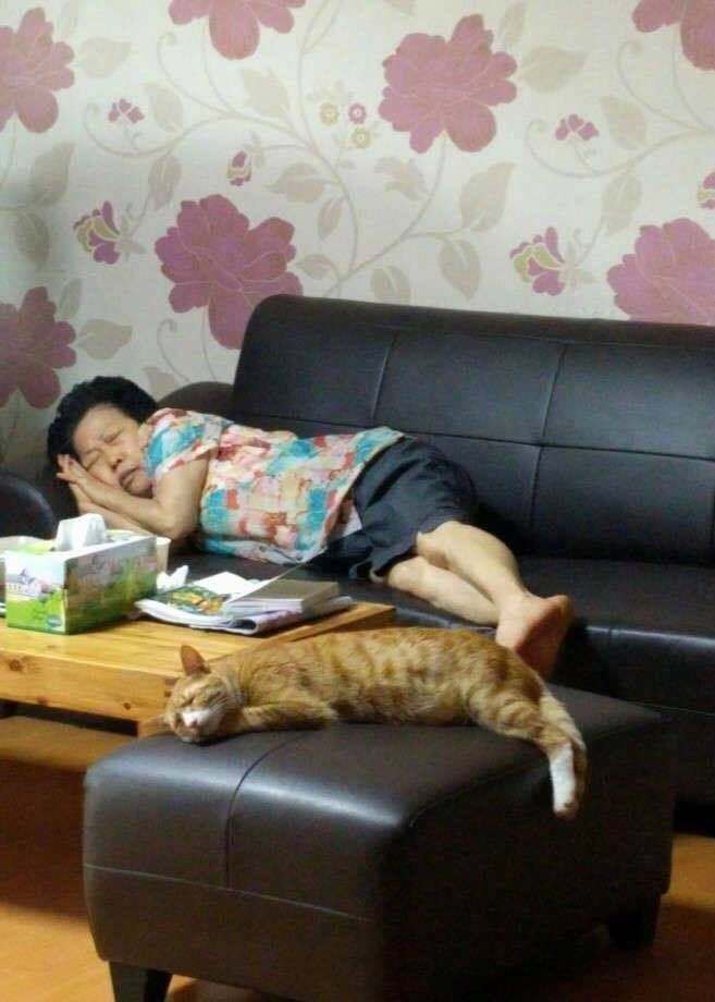fun来了:熬夜那么爽怎么能算熬 上班才该叫熬班 fun来了:熬夜那么爽怎么能算熬 上班才该叫熬班图片