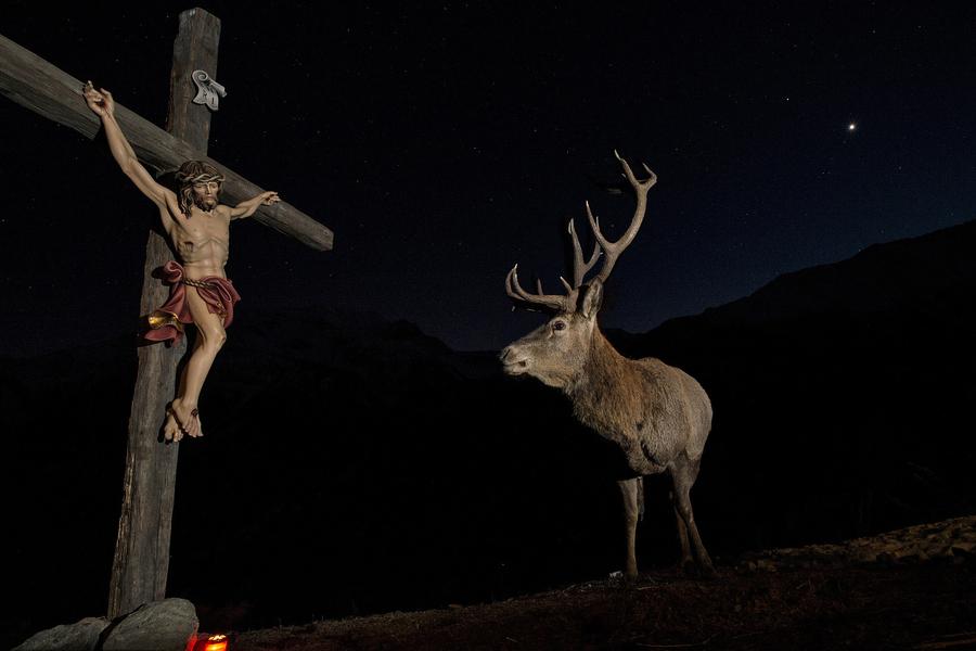 人与自然组荣誉奖:十字架上的鹿(deer at the cross)摄影师:horst