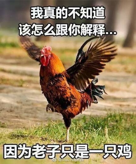 fun来了:武林不准私建门派?我金拱门第一个不服 fun来了:武林不准私建门派?我金拱门第一个不服图片