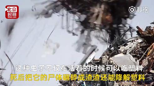 fun来了:武林不准私建门派?我金拱门第一个不服 fun来了:武林不准私建门派?我金拱门第一个不服图片