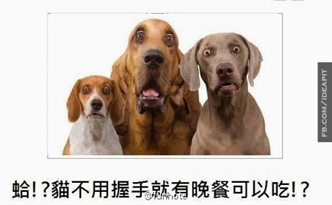 fun来了:武林不准私建门派?我金拱门第一个不服 fun来了:武林不准私建门派?我金拱门第一个不服图片