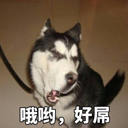 fun来了:维吾尔族的秘密是啥|您的快递正在健身 fun来了:维吾尔族的秘密是啥|您的快递正在健身图片