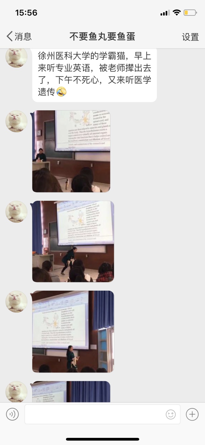 fun来了:维吾尔族的秘密是啥|您的快递正在健身 fun来了:维吾尔族的秘密是啥|您的快递正在健身图片