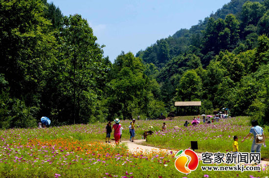 赣县有多少人口_再过几个月,赣县所有城区主干道即将 脱胎换骨 会变成这样子(3)