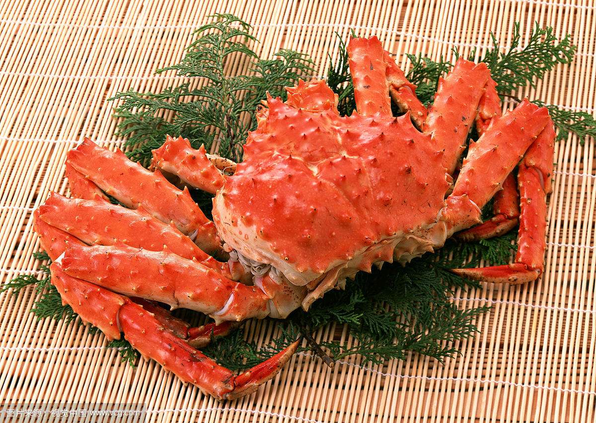帝王蟹毁南极生态?中国吃货再显英雄本色-热点追踪-京燕网