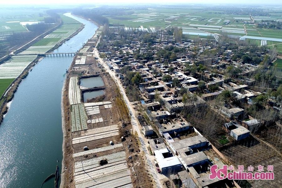 聊城:京杭大运河徒骇河交汇处 初冬时节别样美