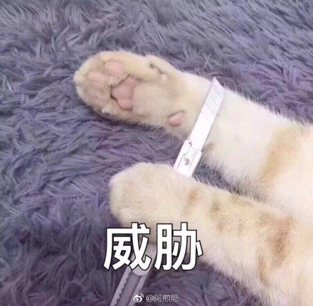 fun来了:夫妻相是接吻造成的 证明丑是会传染的 fun来了:夫妻相是接吻造成的 证明丑是会传染的图片