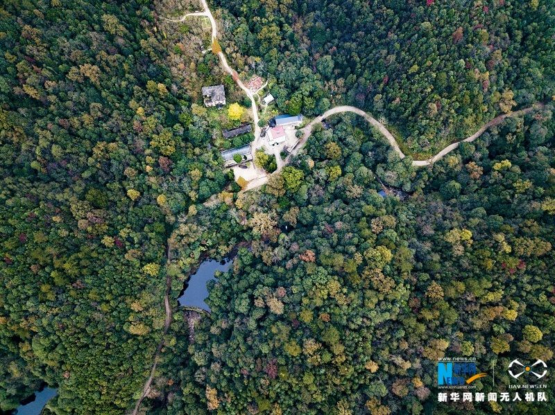 航拍宜丰官山自然保护区 五彩斑斓胜似春景(图)