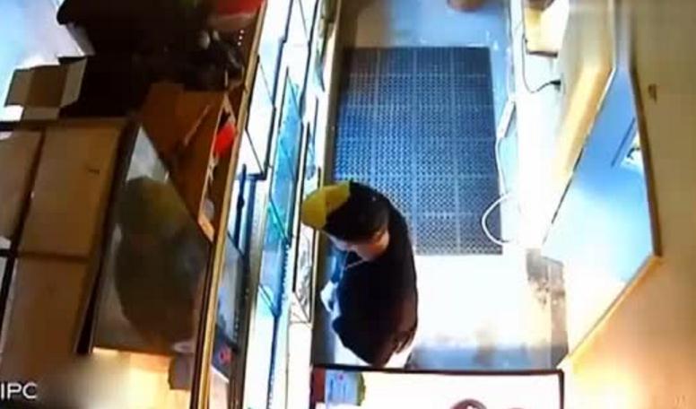 美小偷竟将宠物店蟒蛇塞入裤子偷走