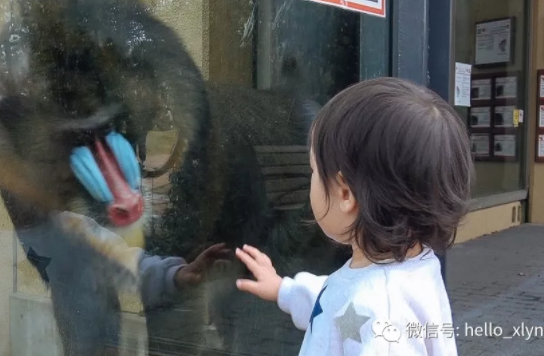 3岁以下的孩子在京都玩什么？这个宝妈告诉你答案