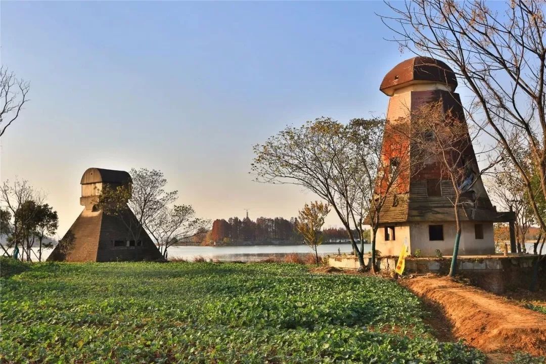 你绝对想不到 50多万人元旦小长假在武汉做了这件事_湖北频道_凤凰网