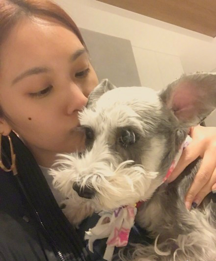 杨丞琳亲吻爱犬称“想你到爆” 网友：李荣浩呢？
