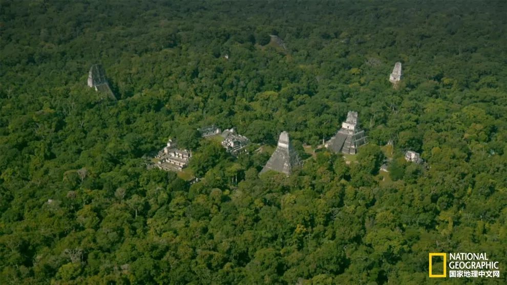 考古重大发现 光学雷达揭秘玛雅文明“特大都市”