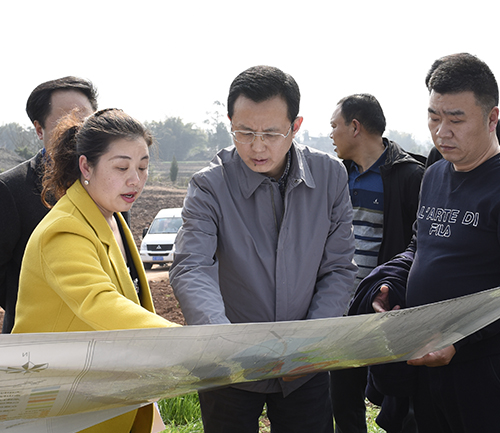 展兴调研转作风促落实行动时指出 抓好乡村特