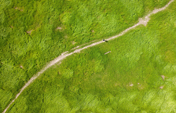 鄱阳湖水位仅比10米枯水线高0.21米 俯瞰成草