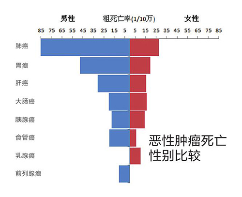 上海人口平均寿命_上海人口平均期望寿命超82岁 女性比男性长寿4岁(2)