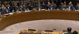 谴责美英法轰炸叙利亚议案 这两国和中国一起投了赞成票