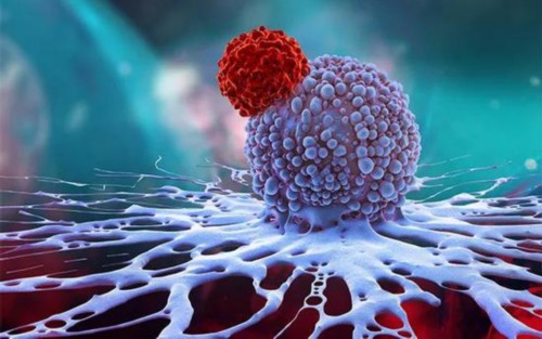 “超级”CAR-T登场:让癌症治疗更安全、更有效