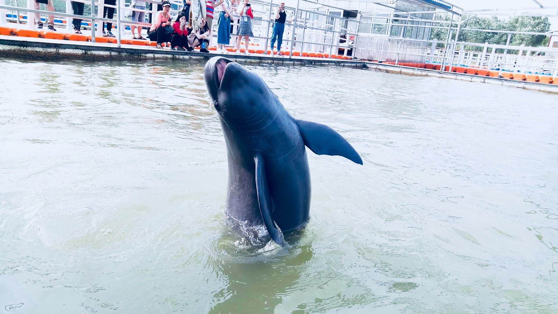 石首市有多少人口_石首市久合垸乡图片(3)