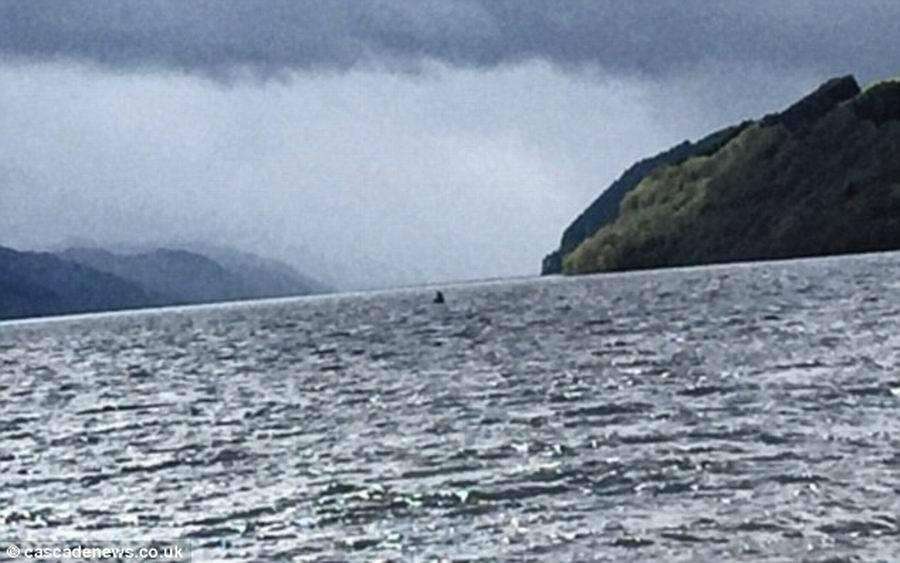 布尼斯湖水怪是什么动物？到底 真象跌破眼镜