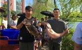 重庆又一高校打捞万斤鱼:将做剁椒鱼头等给师生吃