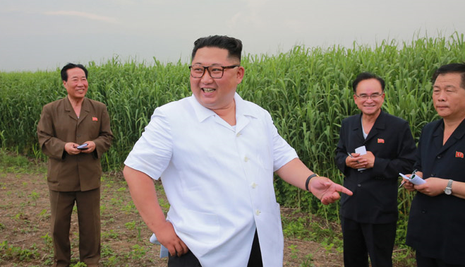 金正恩要求加强朝鲜化学工业发展