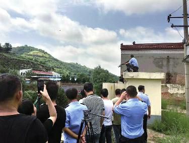 陕西上演“警察对峙巨鳄”：2米长雄鳄被8枪击毙