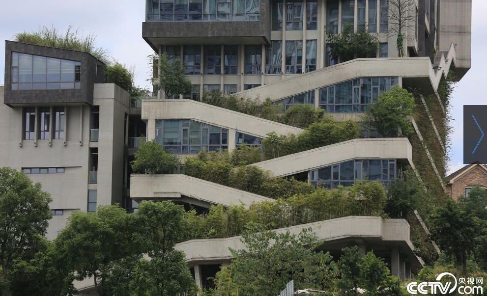 水泥森林中的空中花园 重庆建筑再走红