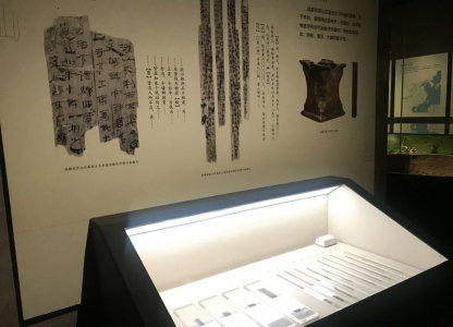 失传的扁鹊绝学?老官山汉墓920支医简震惊考古界