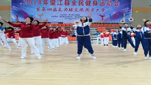 柔力球拍排行_活跃在驿城区民生社区的柔力球队