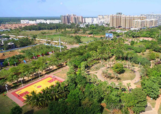 临高的GDP_海南临高女生打架扒衣