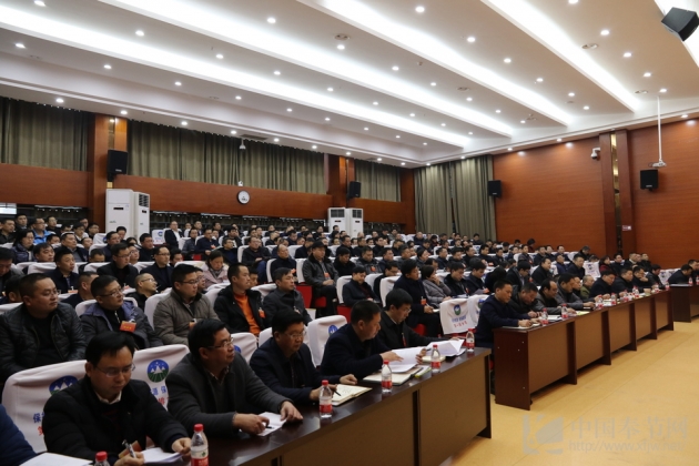 2019重庆经济十强县_...堰市也是四川省经济综合实力\