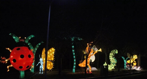 元宵佳节闹花灯 璀璨夜景绿博园